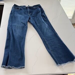 Lovervet by Vervet Jeans — EUC